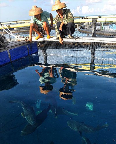 養(yǎng)殖網(wǎng)箱廣州中航